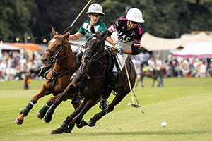 A professional rider on a horse