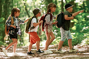 A professional rider on a horse